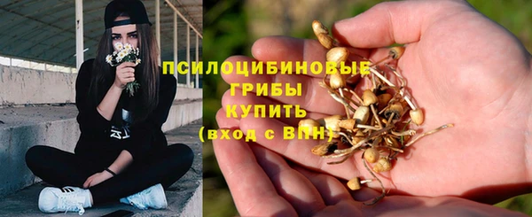 ALPHA PVP Зеленокумск