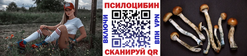 Галлюциногенные грибы Psilocybe  Купить где  Ногинск 