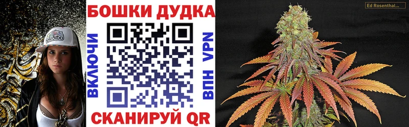 Купить где  Ногинск  Канабис ГИДРОПОН 